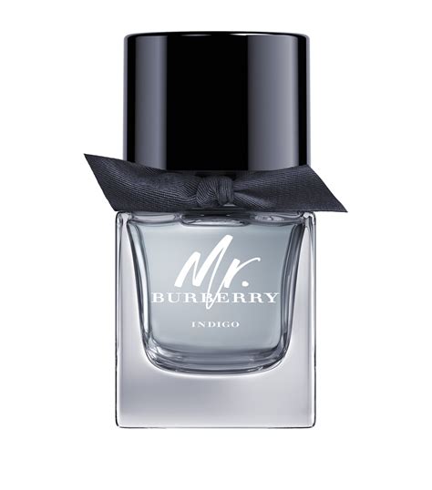 mr burberry eau de toilette spray|perfume mr Burberry original.